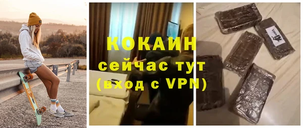 индика Заволжск