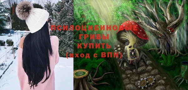 сатива Заволжье