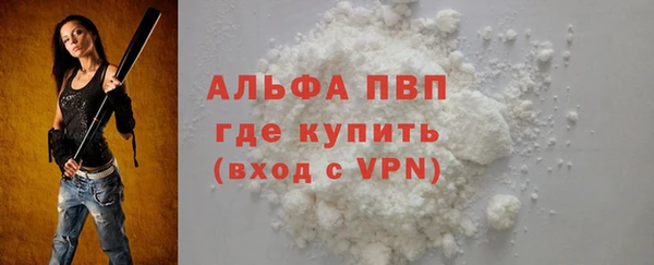 индика Заволжск