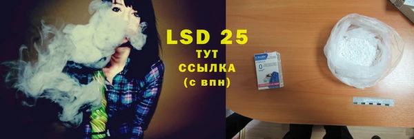 сатива Заволжье
