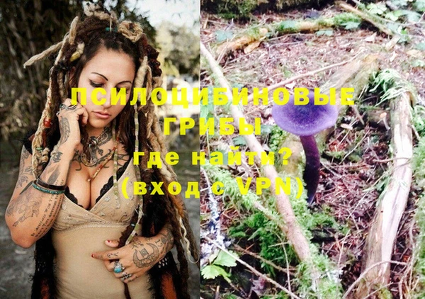 индика Заволжск
