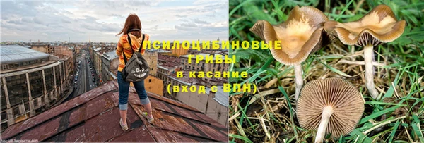 индика Заволжск