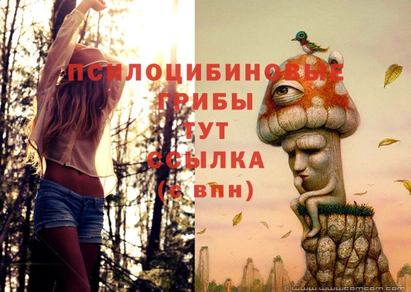 индика Заволжск
