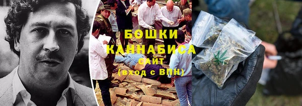 индика Заволжск