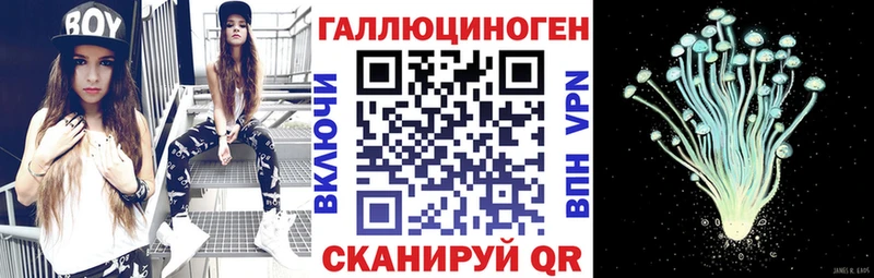 Псилоцибиновые грибы мицелий  Купить закладки  Горняк 